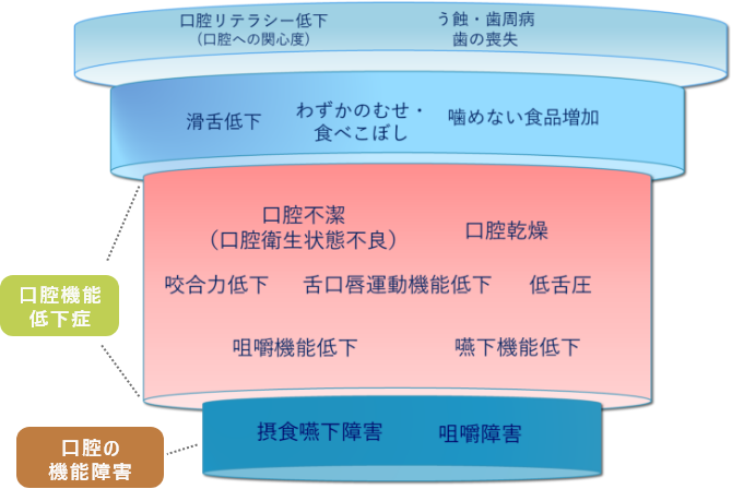 口腔機能低下症について